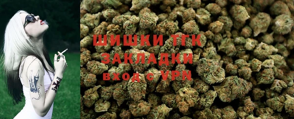 СК Богородск