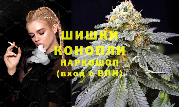СК Богородск
