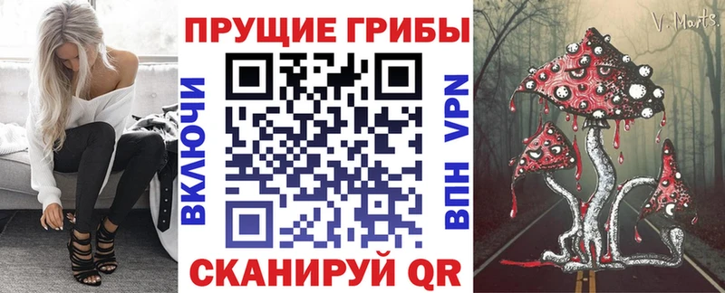 купить наркотик  Егорьевск  Псилоцибиновые грибы ЛСД 